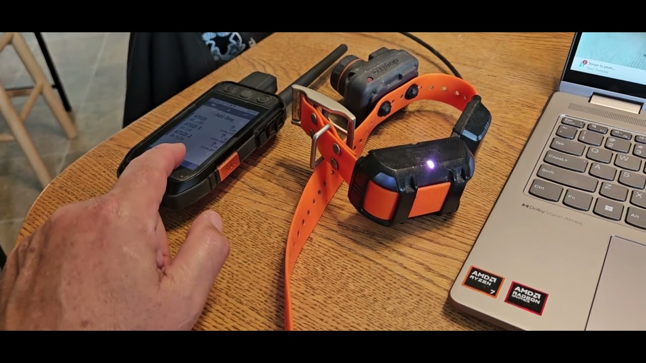 How to Update Your Garmin 300i and Collars (TT20/25, TT15x/TT15)
