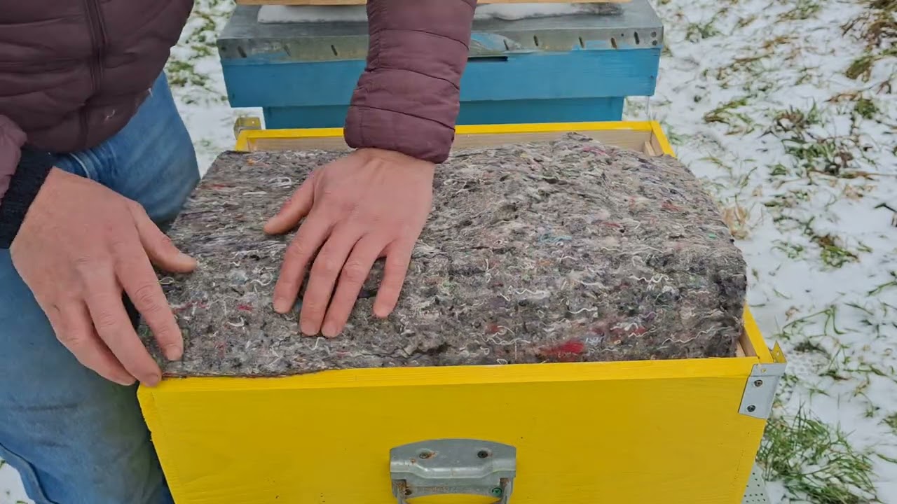 07.02.2026