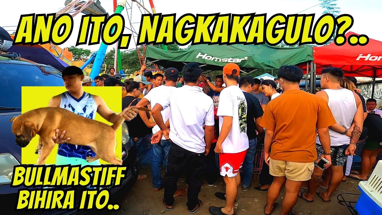 ANO MERON BAKIT DINUDUMOG ANG ISANG PWESTO...