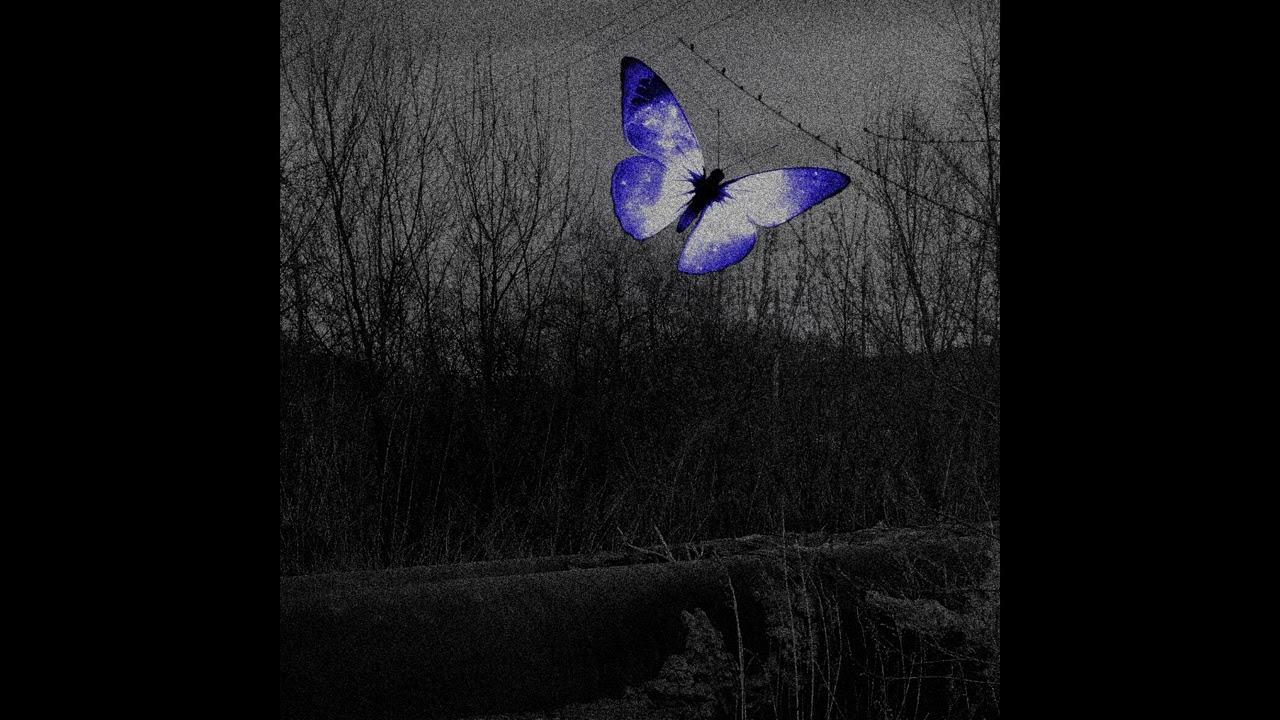 to dream to never dream