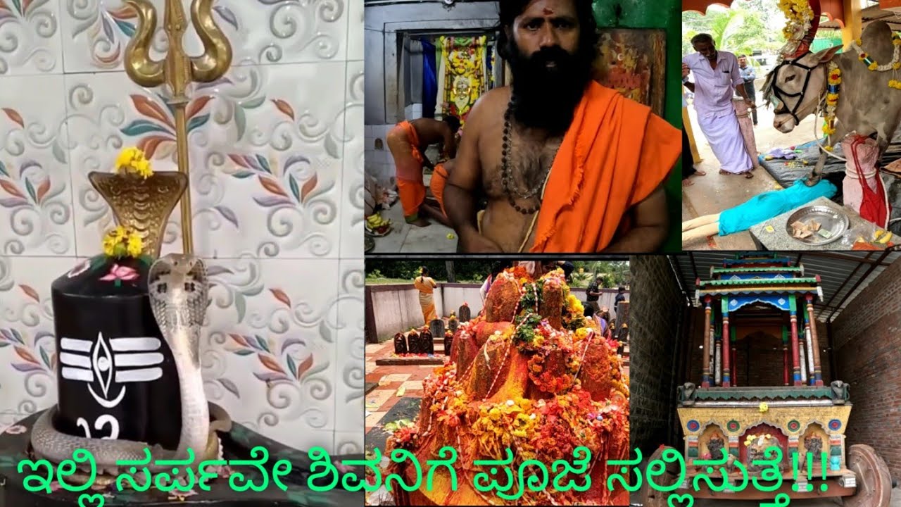 Sri Mattithaleswara Temple - ಸರ್ಪವೇ ಶಿವನಿಗೆ ಪೂಜೆ ಸಲ್ಲಿಸುತ್ತದೆ..