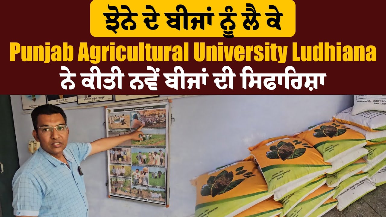 ਝੋਨੇ ਦੇ ਬੀਜਾਂ ਨੂੰ ਲੈ ਕੇ Punjab Agricultural University Ludhiana ਨੇ ਕੀਤੀ ਨਵੇਂ ਬੀਜਾਂ ਦੀ ਸਿਫਾਰਿਸ਼ਾ