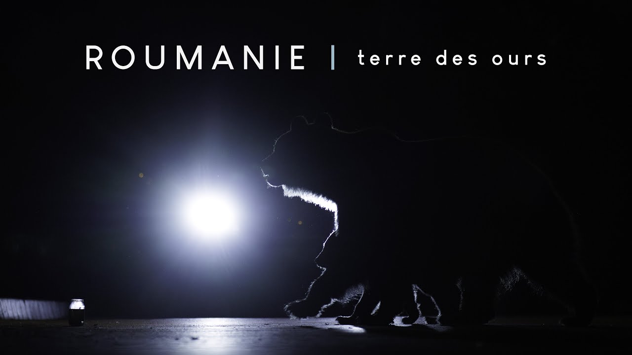 ROUMANIE - TERRE DES OURS (trailer)