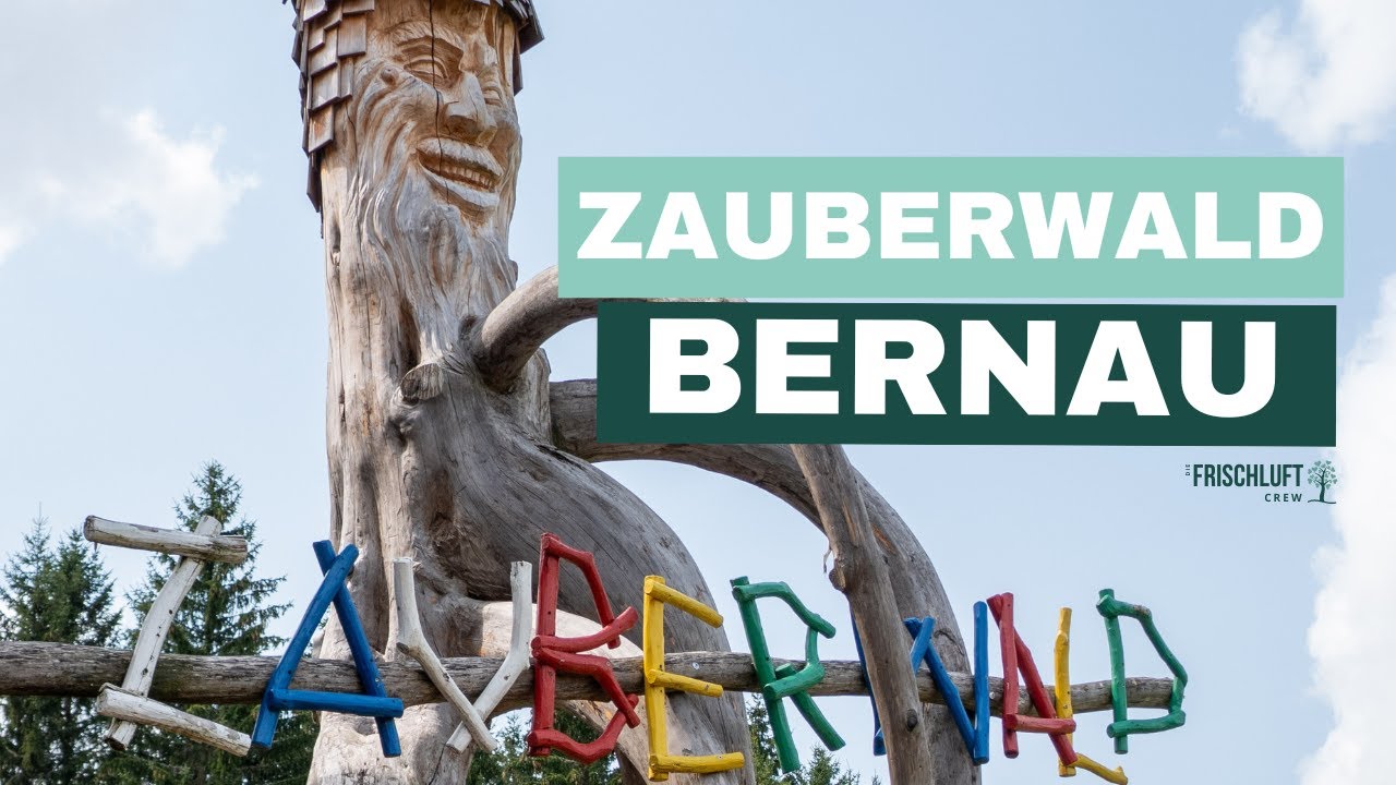 Zauberwald Bernau - so geht Naturerlebnispfad im Schwarzwald