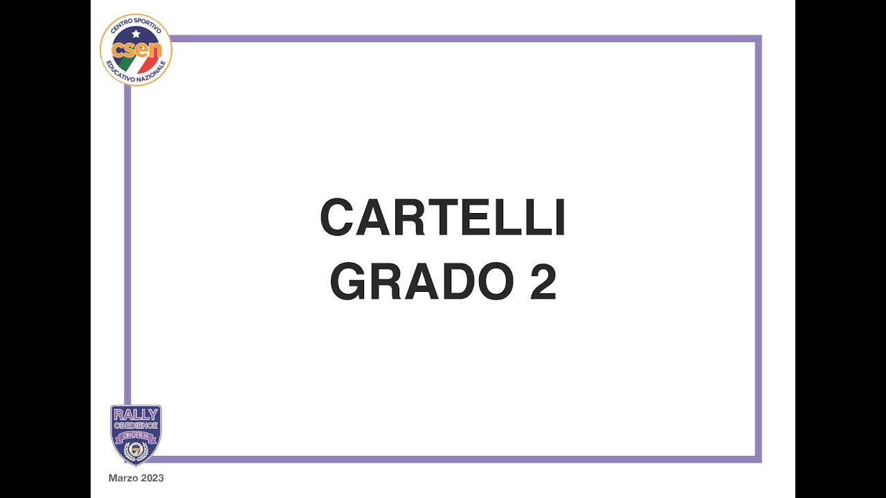 RallyCsen Cartelli Gruppo 2