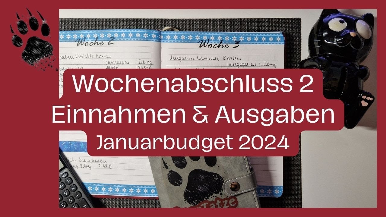 Wochenabschluss 2 Januarbudget 2024 😻 Meine Einnahmen & Ausgaben | Umschlagmethode | Sparen