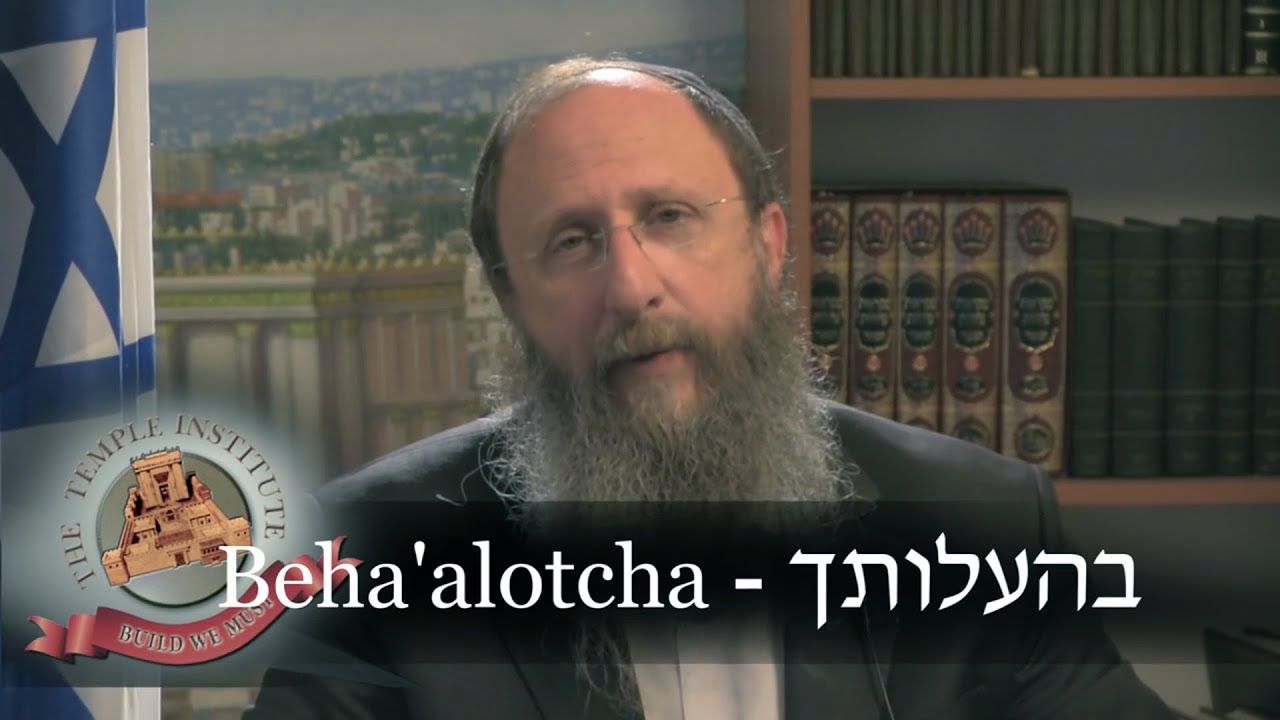 Weekly Torah Portion  Beha'alotcha