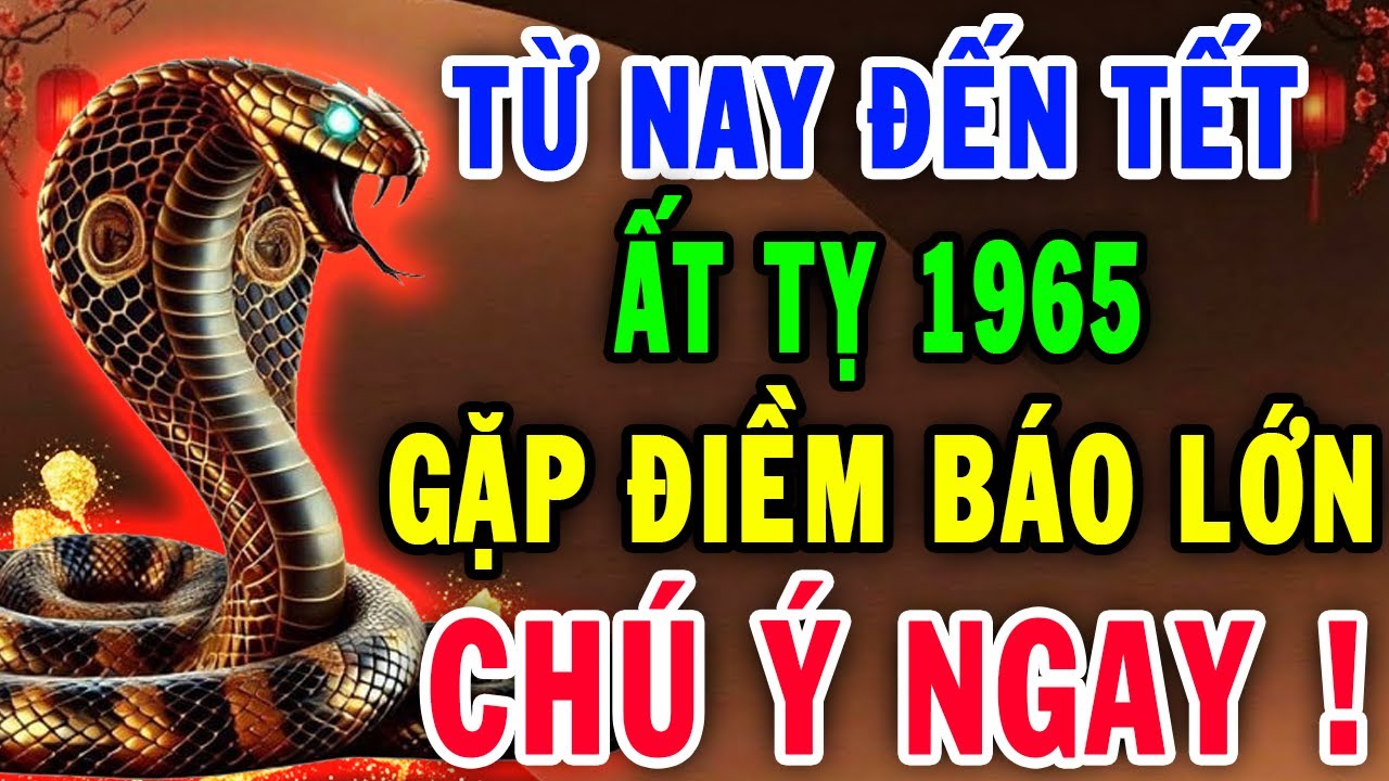 Sự Thật Đáng Sợ Chỉ Tôi Dám Nói: Ất Tỵ 1965 Từ Nay Đến Tết Âm Lịch, Muộn 1 Bước Là Lỡ Cả Đời