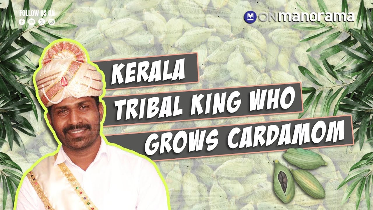 Meet the Kerala tribal king revolutionizing his community through sustainable farming