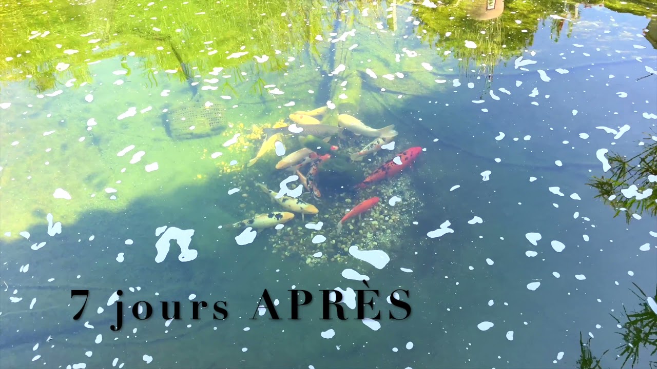 AVANT/APRES Bassin de 11m3 ...impressionnant