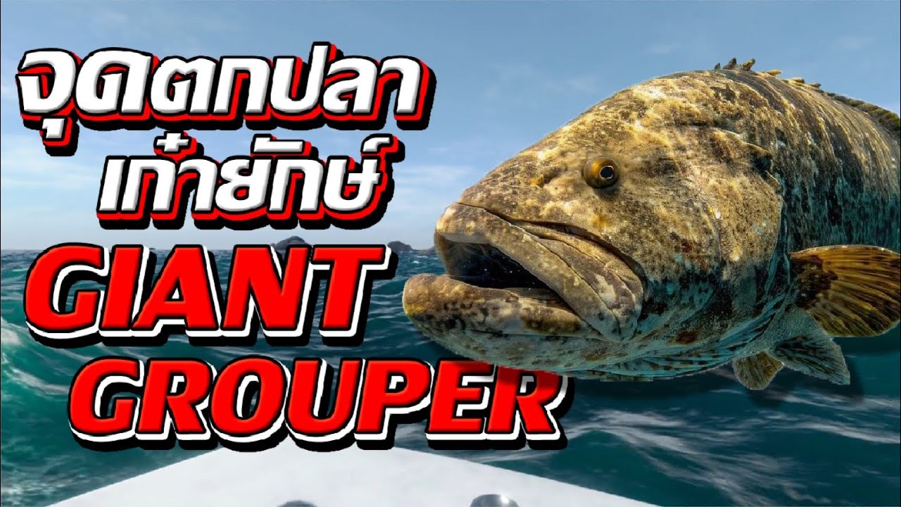 Fishing Planet l หมายปลาเก๋ายักษ์ Giant Grouper