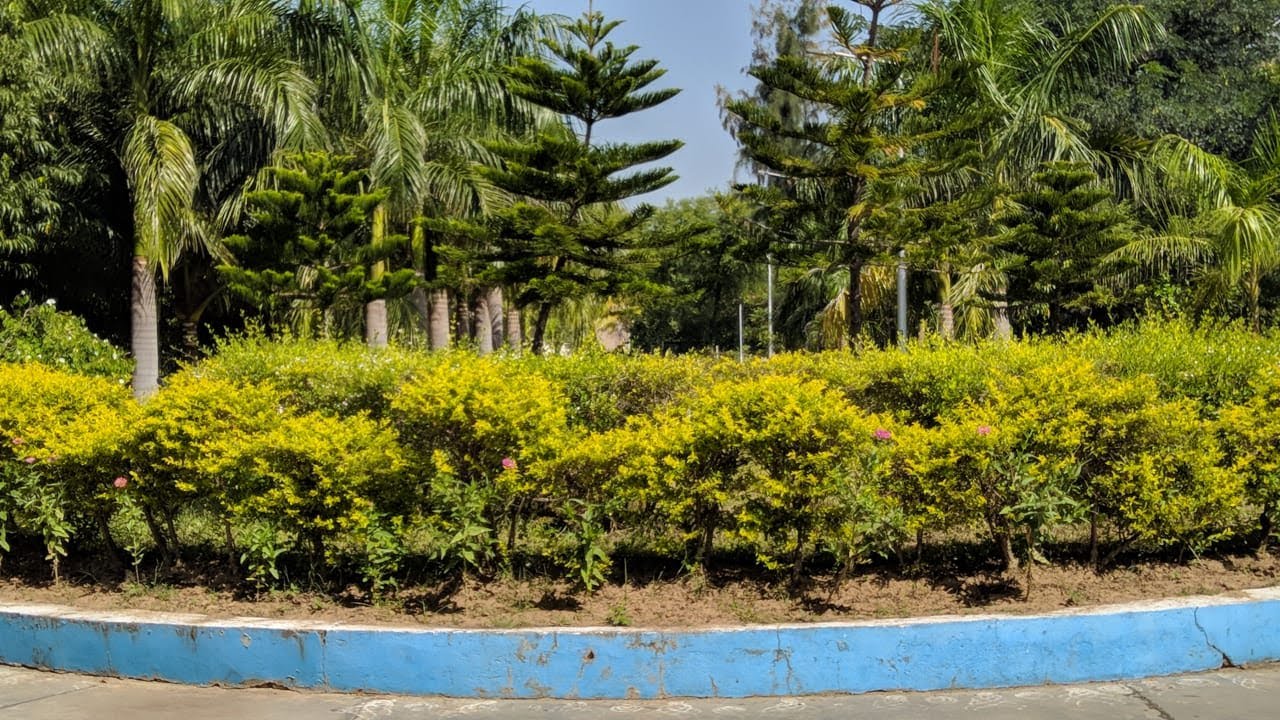 JAWAHAR NAVODAYA VIDYALAYA VADNAGAR MEHSANA  GUJARAT ,Panoramic Veiw/  Beautiful Scene
