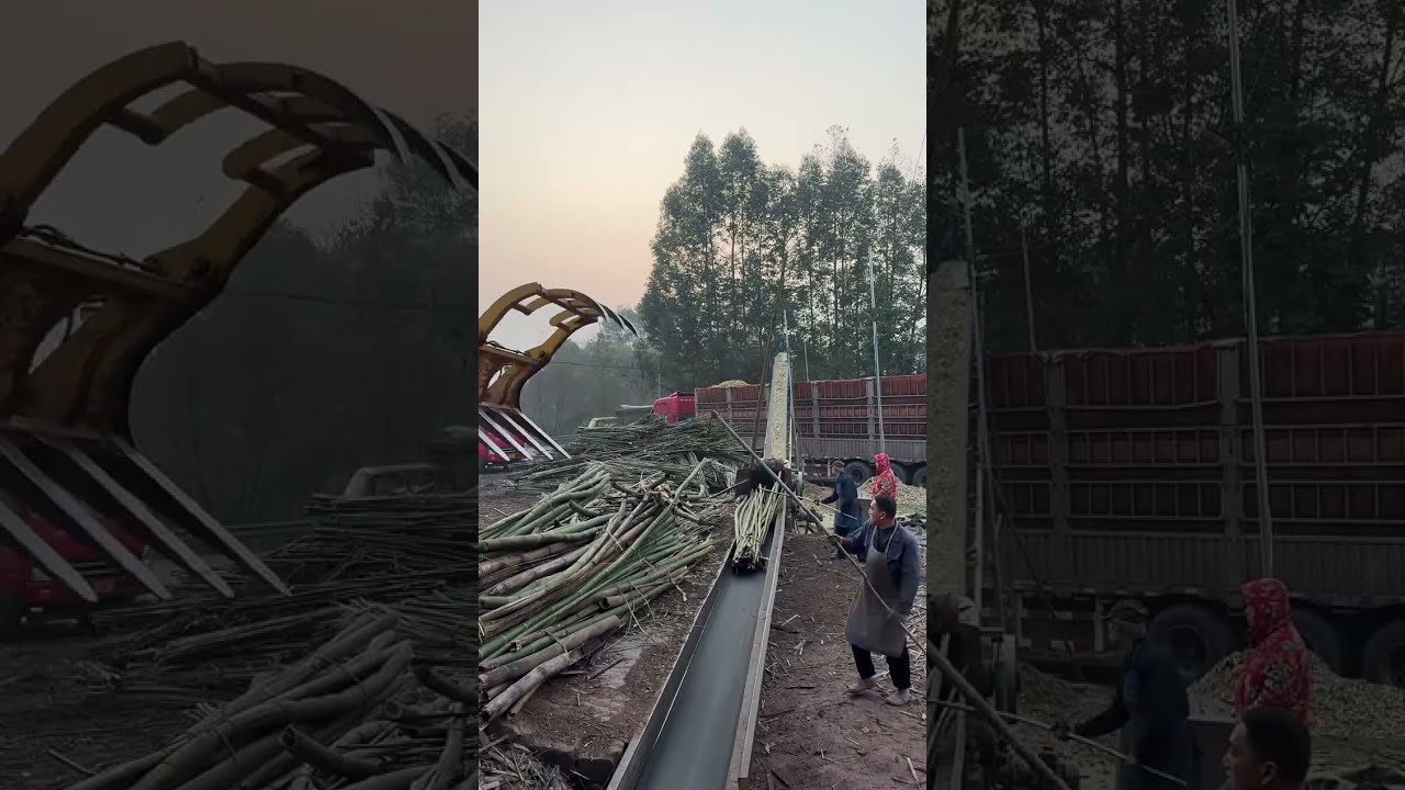 I bet you’ve NEVER seen wood processed this way... 🛠️