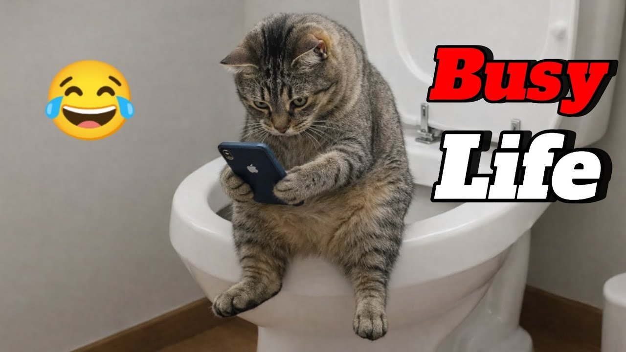 Funny Cats and Dogs compilation 😂 Funny pets video😹🐶 Funny Animals 😄