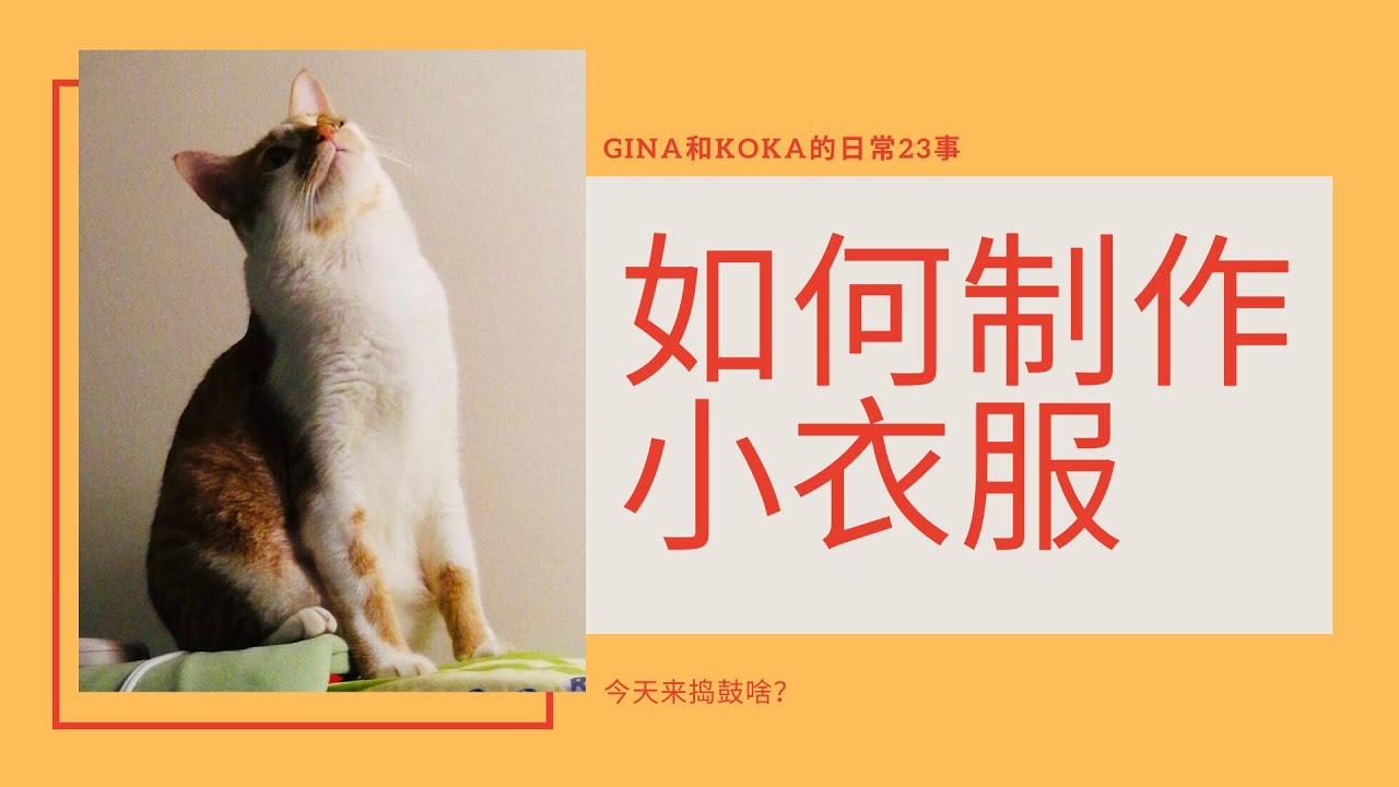 如何制作小衣服的模版【今天来捣鼓啥？｜3】