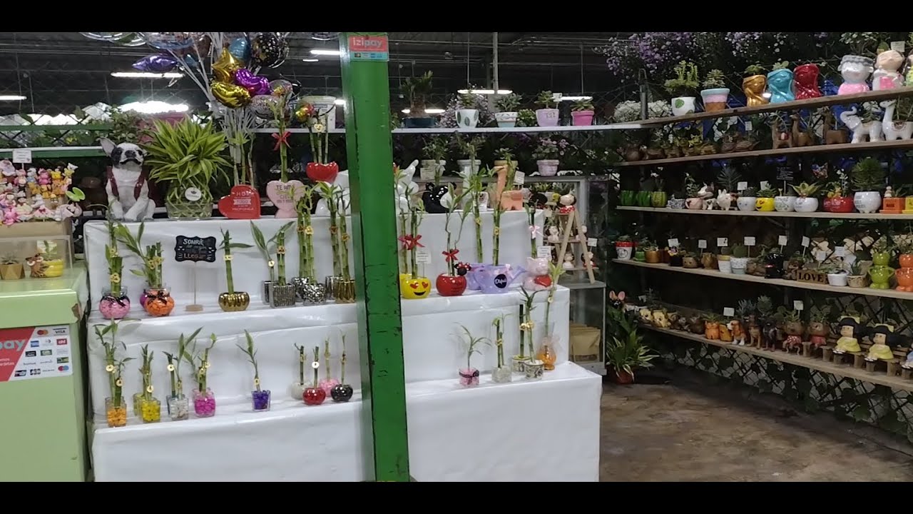 Tour por la tienda más linda de Acho
