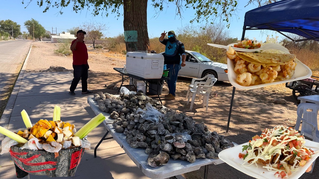 Se puede comer MARISCOS todo el dia sin preocupaciones