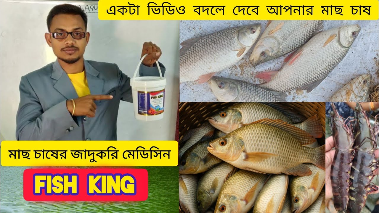 FISH KING কেন সাদা মাছ ও চিংড়ি মাছ চাষীদের প্রথম পছন্দ ?