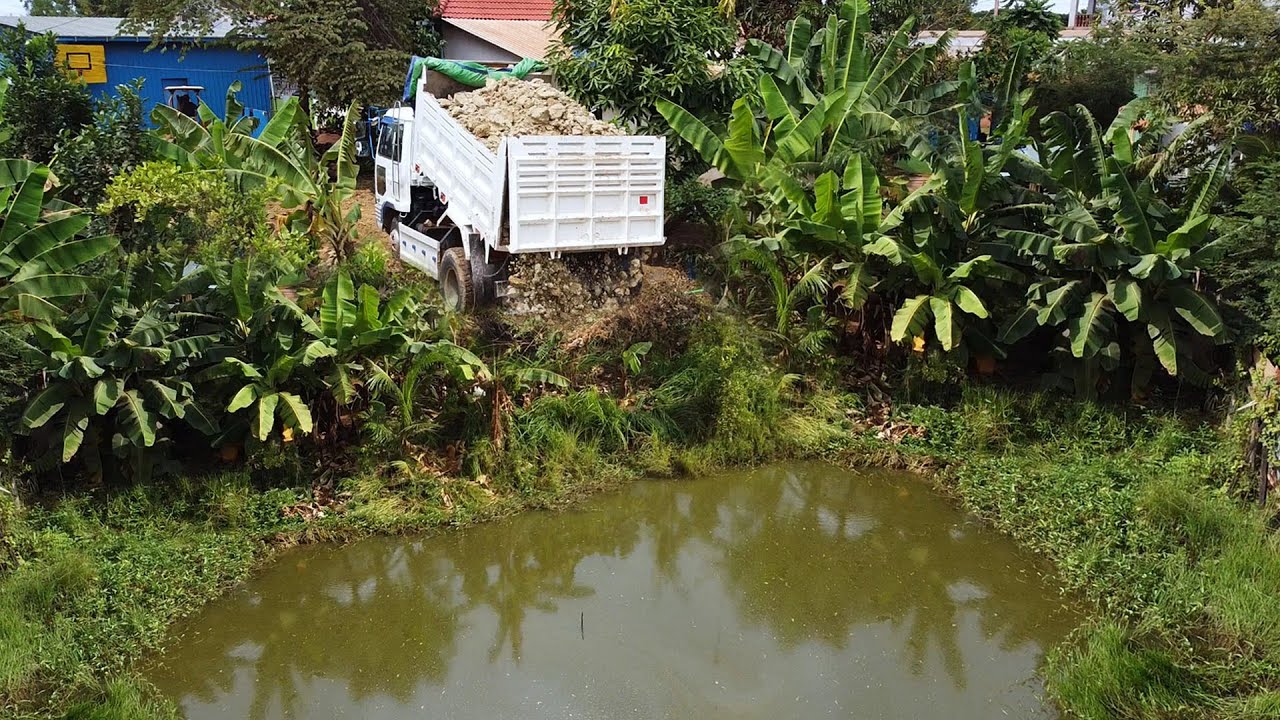 NICELY Activities!! START Landfill FLOODED POND By EXPERT Skill DOZER Driver & 5Ton Dump Truck.