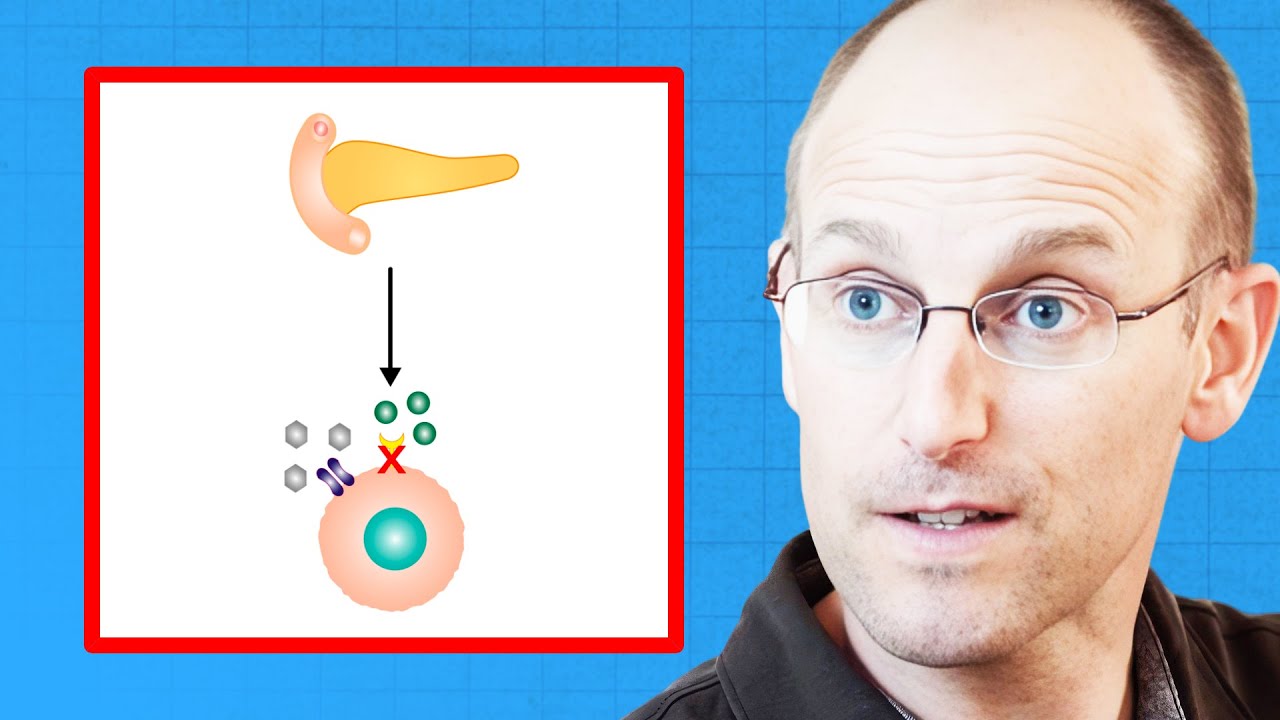 DO THIS to Reverse Insulin Resistance and TYPE 2 DIABETES | Dr. Bret Scher