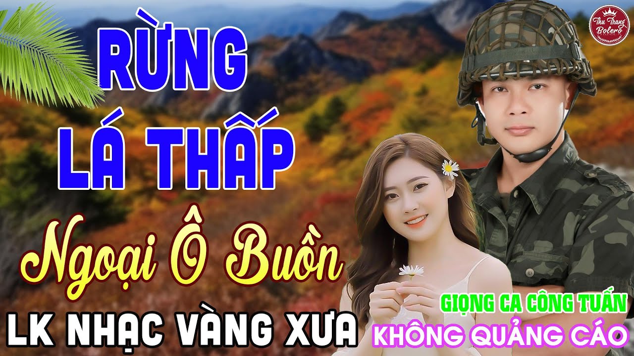 RỪNG LÁ THẤP ➤ LK Nhạc Vàng Xưa CÔNG TUẤN Toàn Bài Hay Nghe Cực Êm Tai✔️KHÔNG QUẢNG CÁO