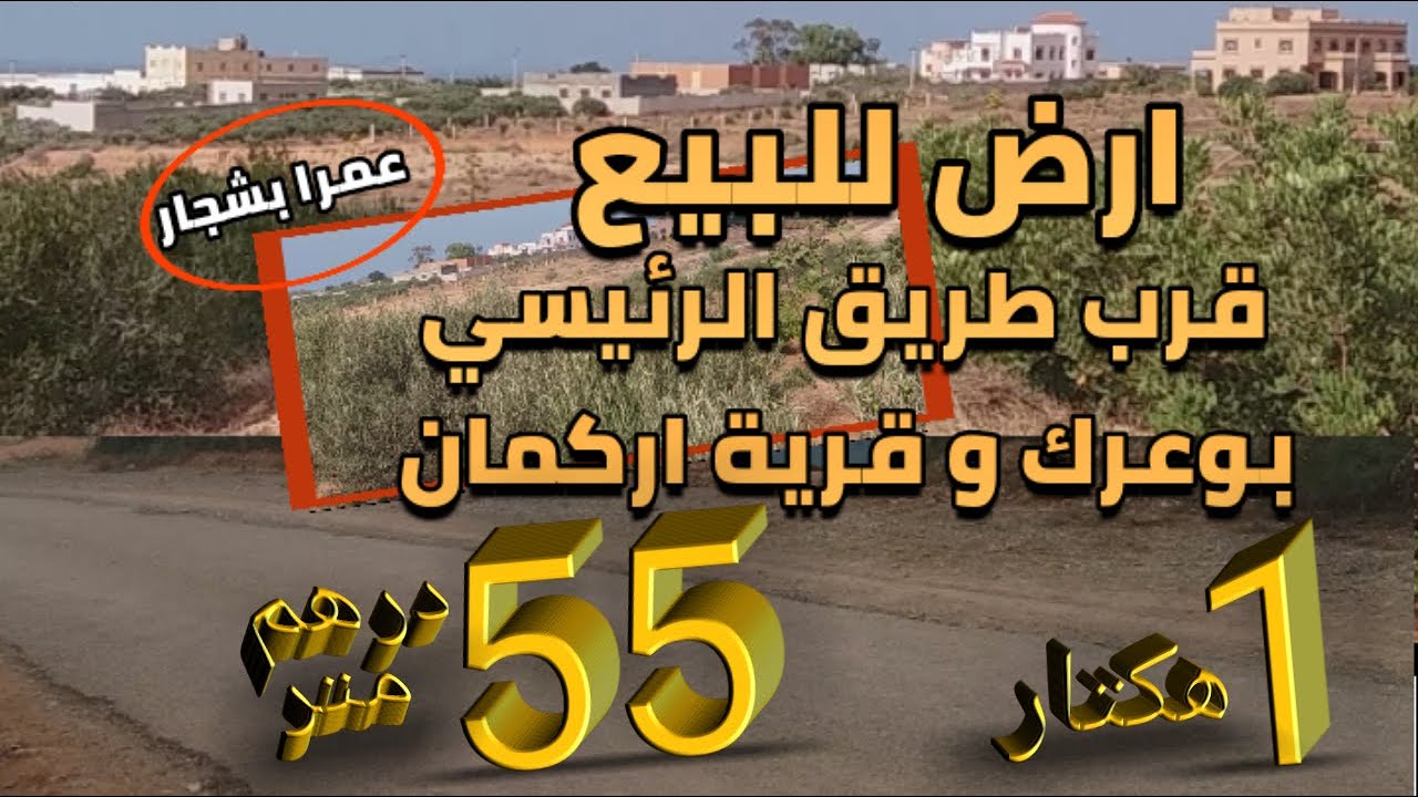 ارض للبيع بثمن مناسب على طريق الرئيسي بوعرك و قرية اركمان مساحة 1 هكتار عمرا ب الاشجار متنوعة