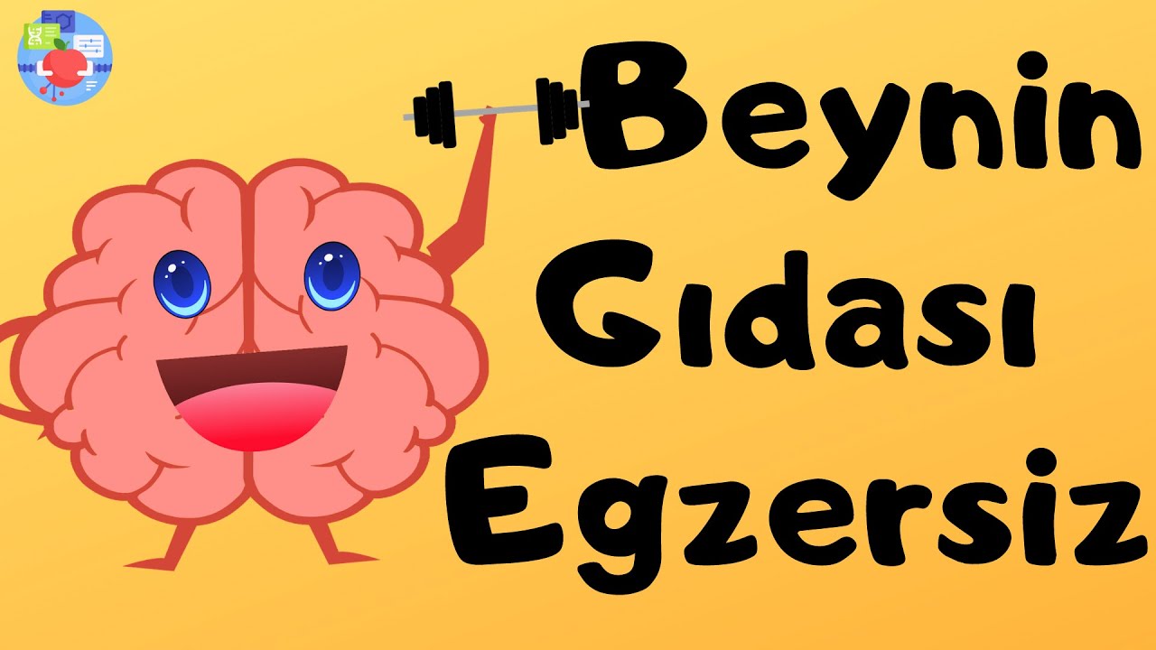 Sporun Beyne Faydaları Neler? | Beynimizi Nasıl Geliştirebiliriz?