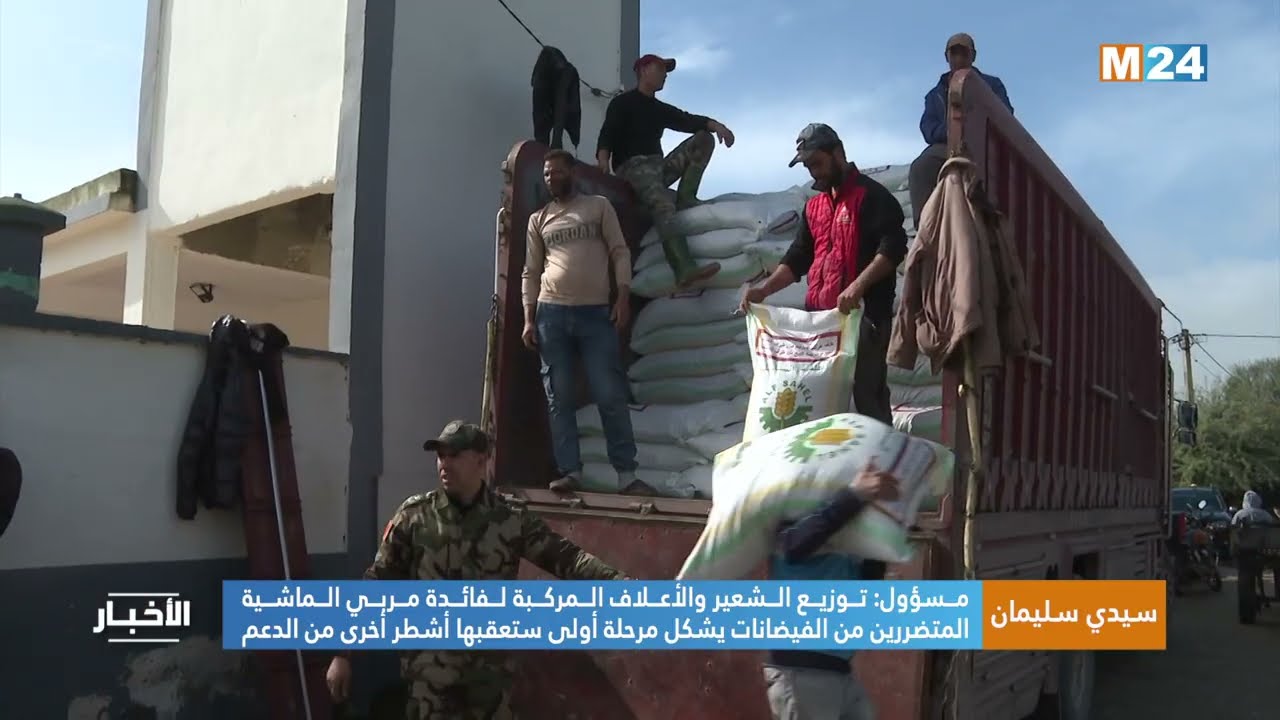 مسؤول: توزيع الشعير والأعلاف المركبة لفائدة مربي الماشية المتضررين من الفيضانات يشكل مرحلة أولى