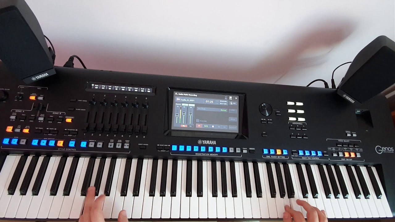 Seweryn Krajewski - Nie jesteś sama ☆Yamaha GENOS☆