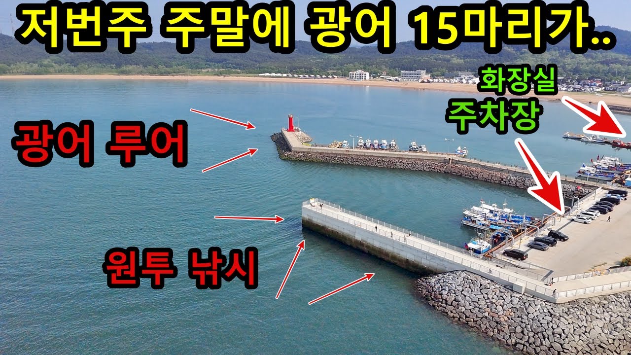 주차장 바로앞이 요즘 가장 핫 한 광어 낚시 포인트라니. 입문자 분들 캐스팅에 대해서