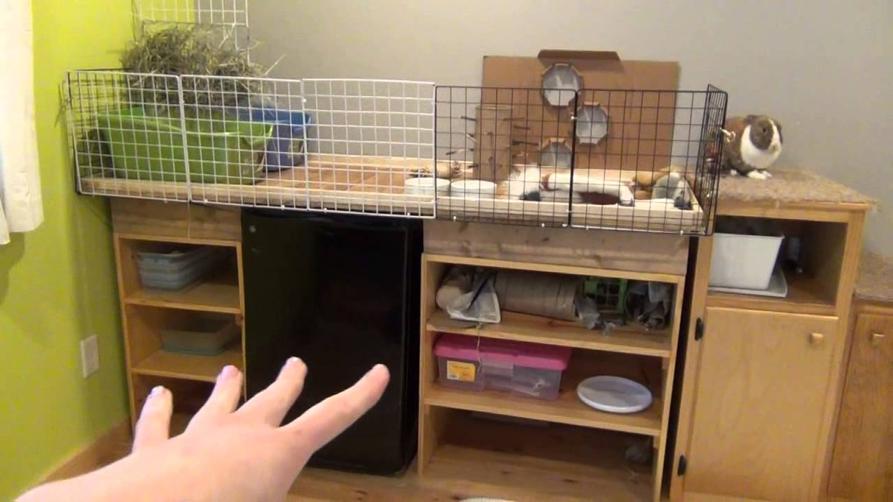 March Rabbit Cage Tour!