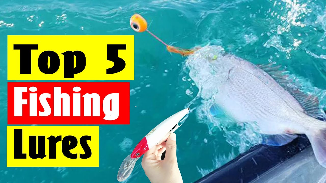 Best Fishing Lure for Beginners: Top 5 Best Fishing Lures In 2024