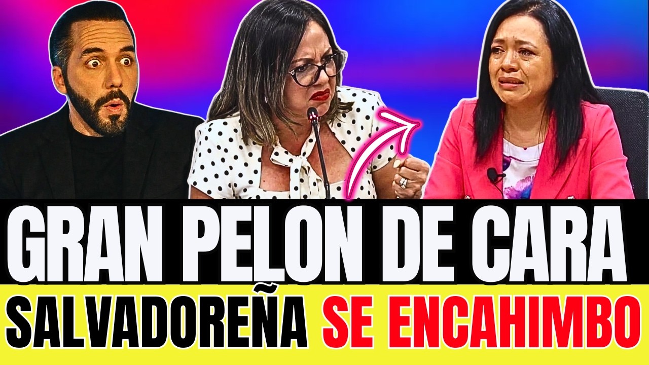 Cesia Rivas Sale De Comision Buscando La Cara 🤣