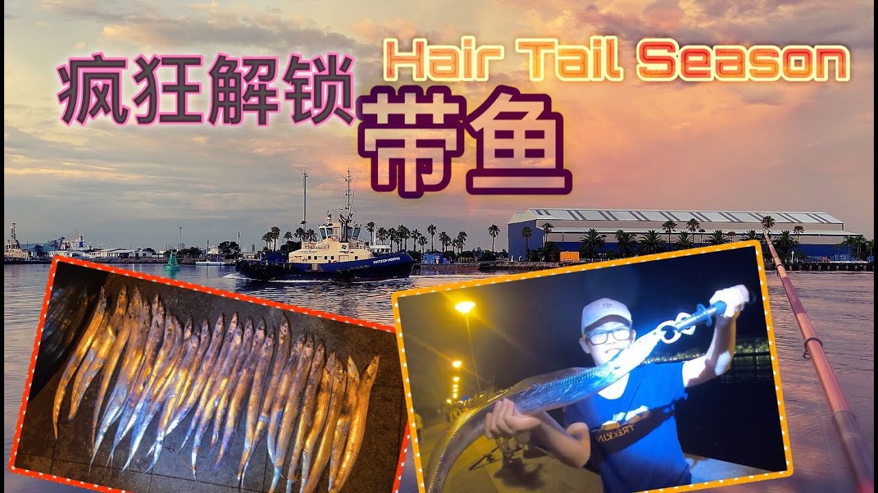 【Jack's Fishing life vlog#76】😍阔别五年 NC带鱼盛况 爆钓回归 #Sydney fishing#how to catch hair tail#hair tail#悉尼钓鱼