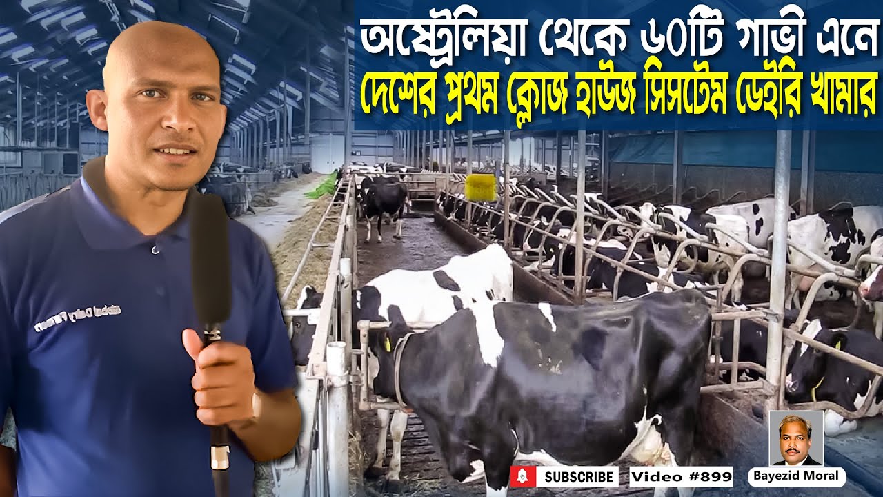 Dutch dairy | আধুনিক ডেইরি খামার করতে যেসব টেকনোলজিগুলো লাগে, সেগুলো দেখুন...