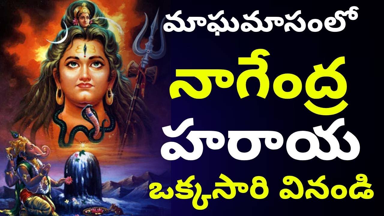 Nagendra Haraya Trilochanaya | Shiva Panchakshari Srotram | Latest Lord Shiva Songs 2026