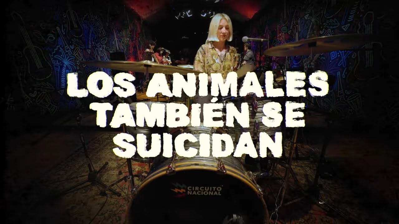 &iexcl;Escucha a Los Animales Tambi&eacute;n Se Suicidan! en CircuitoNacional⚡️| Sesi&oacute;n en Vivo