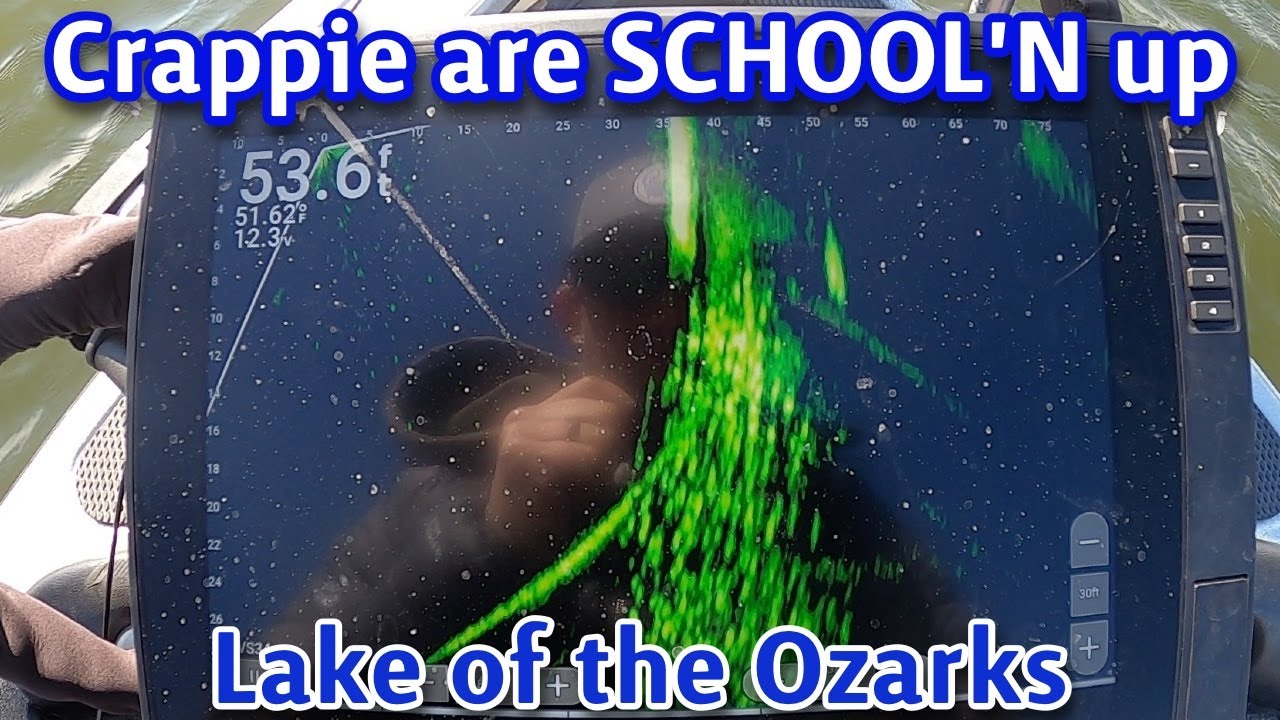 Окунь, пойманный на волне в декабре | Озеро Озаркс