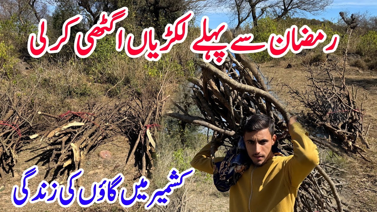 Village Life in Dadyal Azad Kashmir|Ramzan Sy Phly Lakriyan Agathi kr li|Kaleem Vlogs