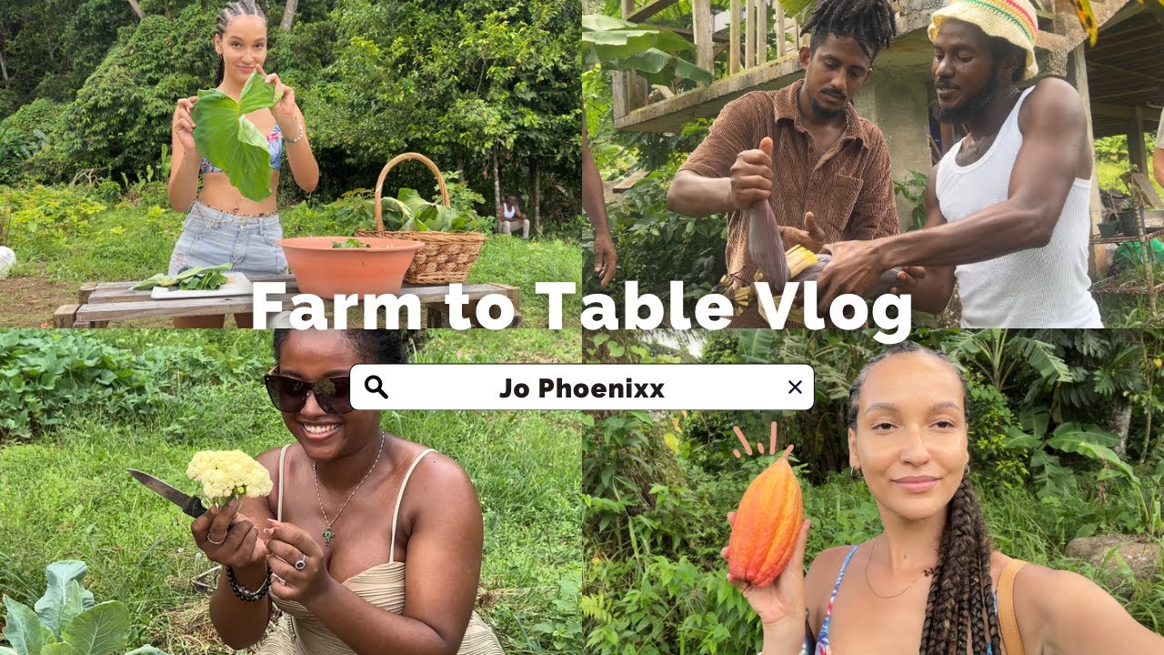 Taste of Grenada: A Farm to Table Adventure 🇬🇩