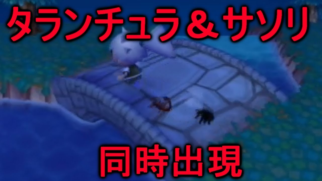 【街森】タランチュラとサソリが二匹同時出現！合体した姿が怖すぎる！？【PART27】