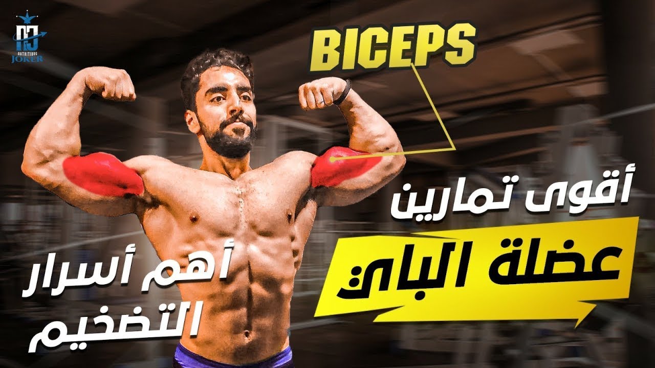 تضخيم عضلة باي سيبس | أسرار تمارين عضلة الباي سيبس