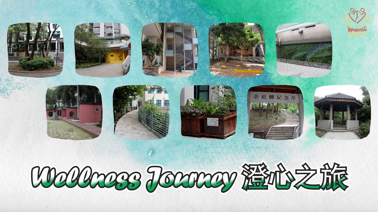 Wellness Journey