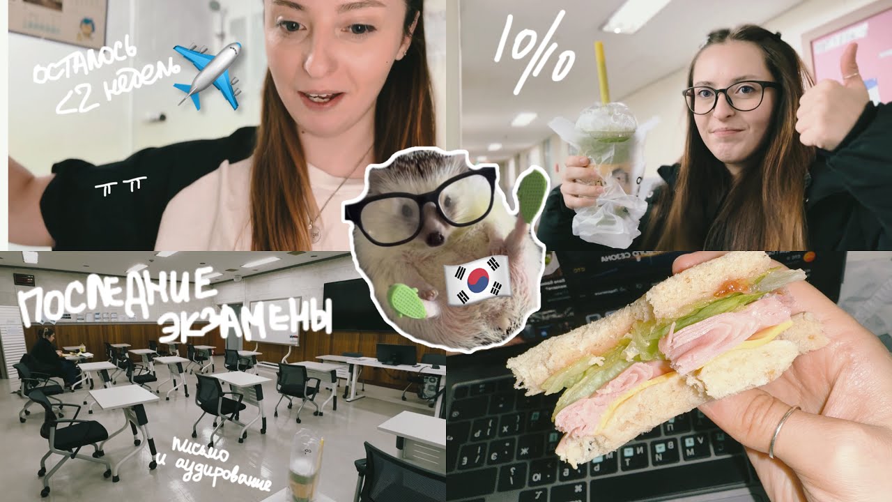 KOREA VLOG DIARY| мои последние экзамены на курсах корейского в Корее /улетаю домой /др|11-12.2.2025
