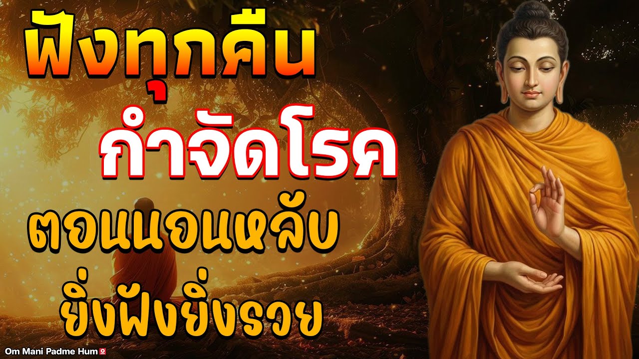 📌นอนไม่หลับ ฟังธรรมะก่อนนอน กำจัดโรค ชีวิตที่สงบสุขและโชคดี การดับทุกข์อย่างถูกวิธี เริ่มที่ตัวเ
