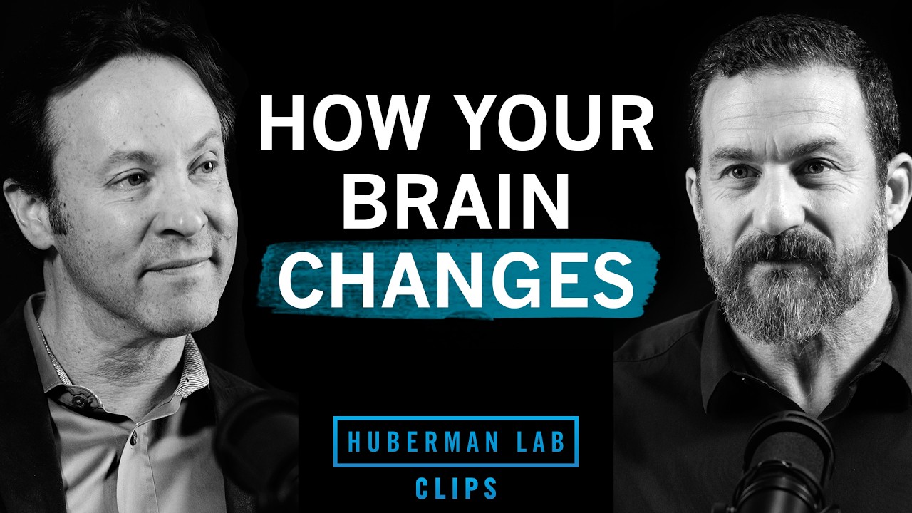Neuroplasticity: How Your Brain Changes | Dr. David Eagleman & Dr. Andrew Huberman
