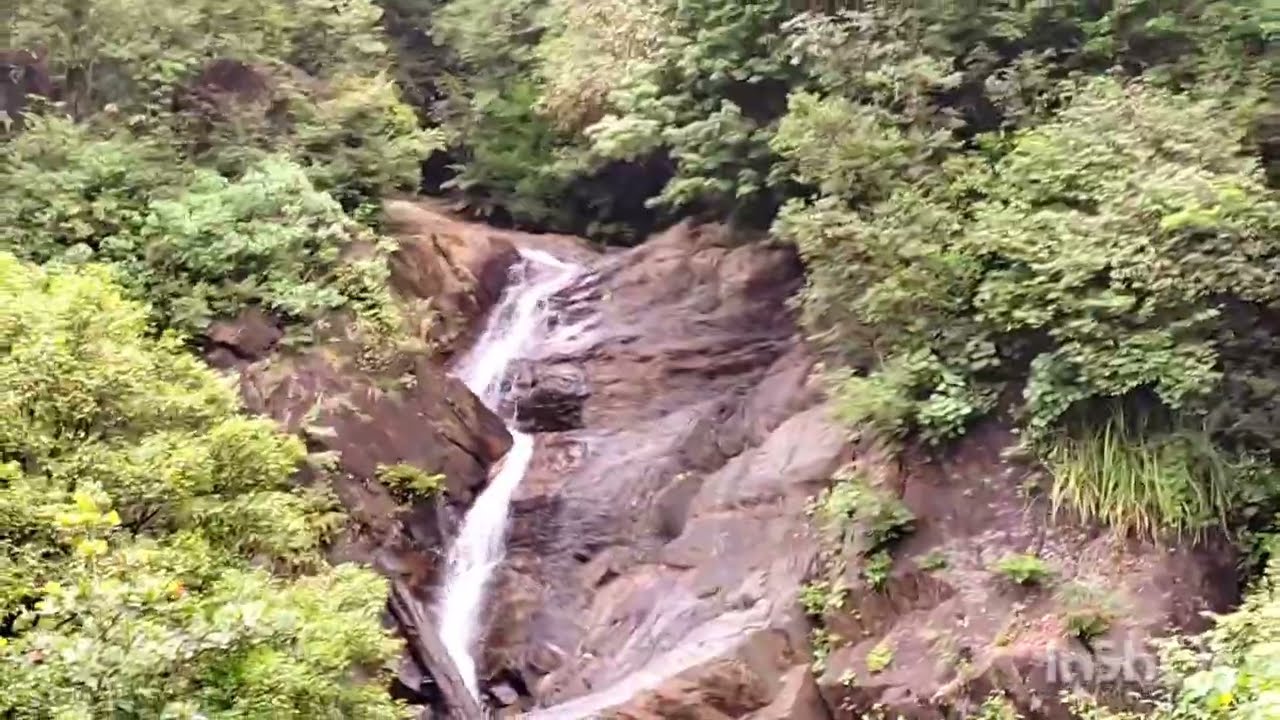 The serene beauty of Kadambi Water falls  in Kudremukh National forest / Chaitali Das
