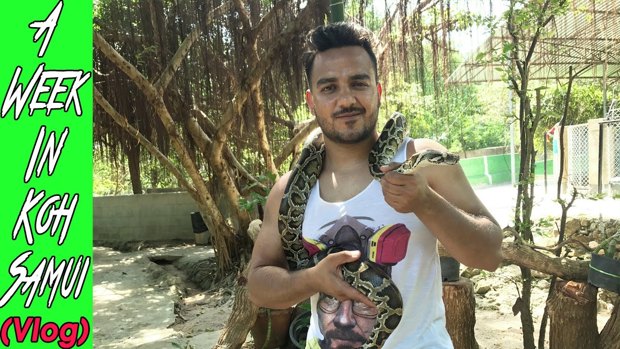 A week in Koh Samui
