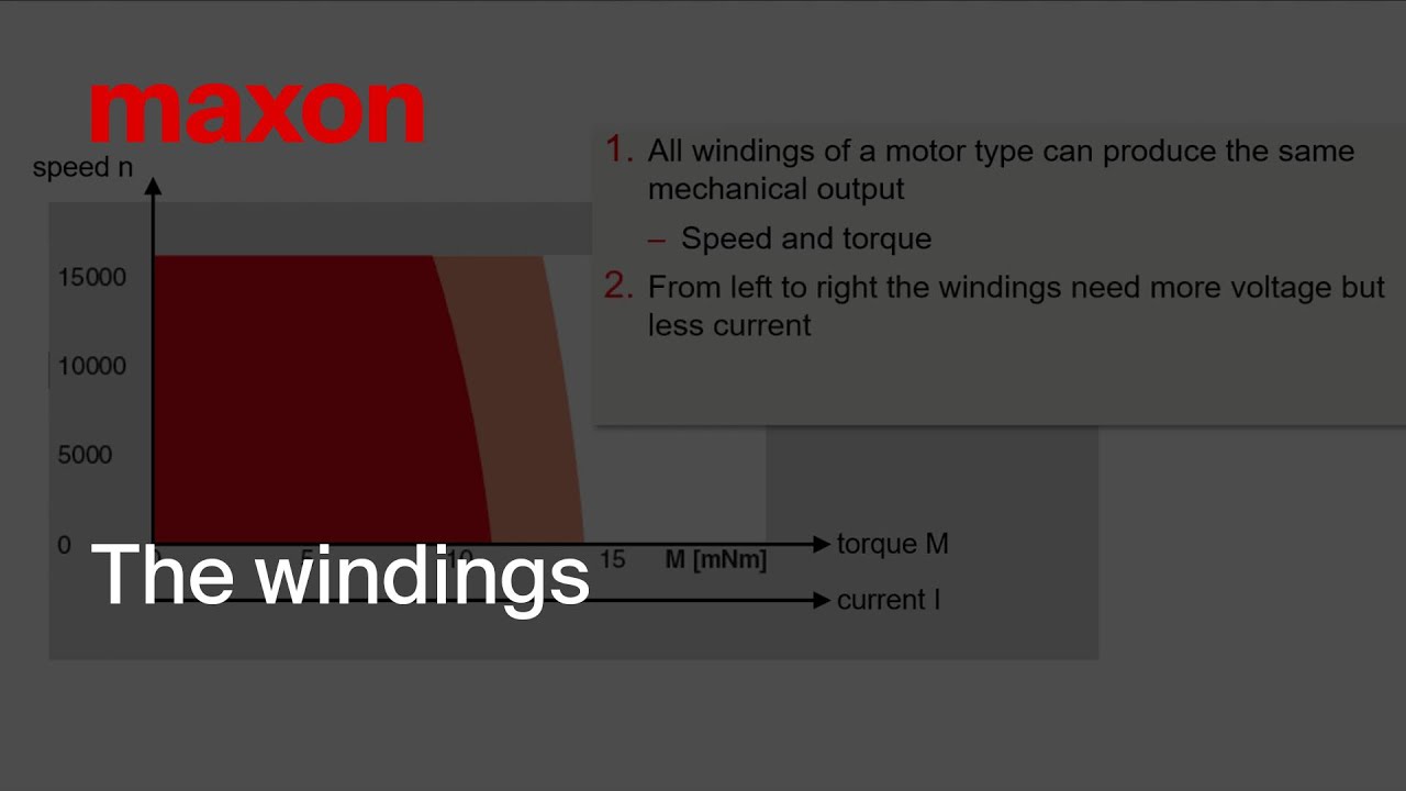 maxon motor data 3: The windings