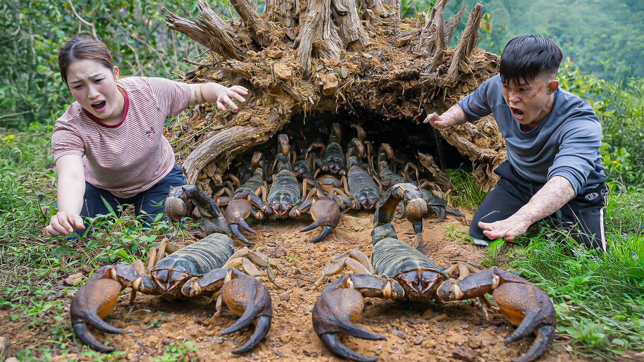Harvesting Giant Toxic Creature From Rotting Tree, Grilling Whole Over A Fire. Is It Safe To Eat?